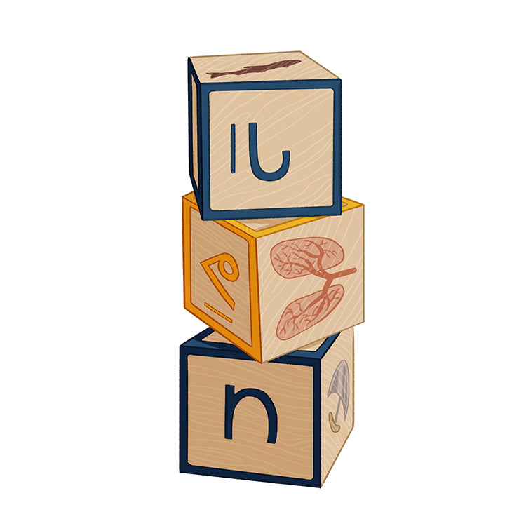 Syllabic and Roman Orthography Wooden Blocks