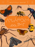 Junior Field Guide: Insects of Nunavut