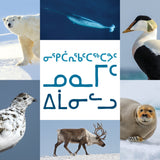 Food We Get from the Land and Sea