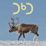 The Caribou