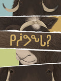 What Am I?