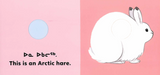 Arctic Animals