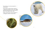 Arctic Animal Food Chains