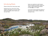 Arctic Plants: An Introduction to Edible and Medicinal Plants of the North