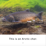 Food We Get from the Land and Sea