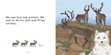 How Many Animals Did We See?