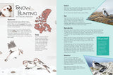 Junior Field Guide: Birds of Nunavut