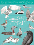 Junior Field Guide: Birds of Nunavut