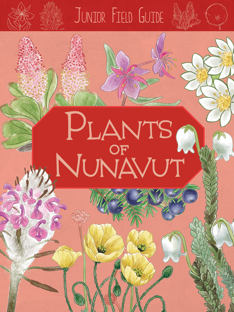 Junior Field Guide: Plants of Nunavut