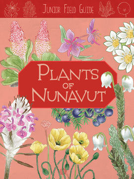 Junior Field Guide: Plants of Nunavut