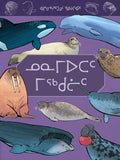 Junior Field Guide: Sea Mammals of Nunavut