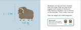 Uliaq's Amazing Animals: Muskox