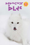 Polar Animals Big Book