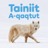 Words with A