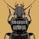 Arctic Bugs