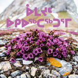 Living Things in the Arctic