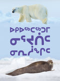 What Arctic Animals Eat