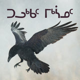 All about Ravens