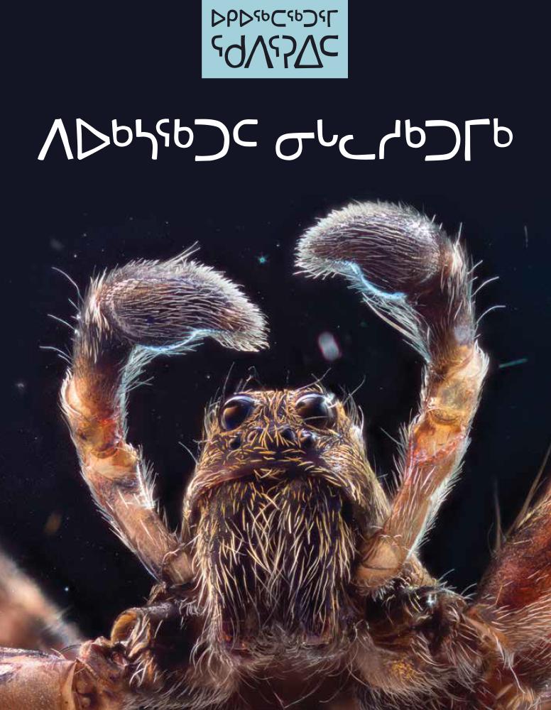 Insects of the Arctic: Bugs That Love the Cold