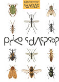 Insects of the Arctic: What Is an Insect?