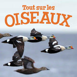 All about Birds