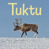 The Caribou