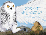 The Owl and the Lemming Big Book