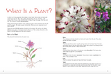 Junior Field Guide: Plants of Nunavut