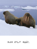 Plurals