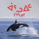 All About Orcas