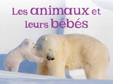 Adult and Baby Animals