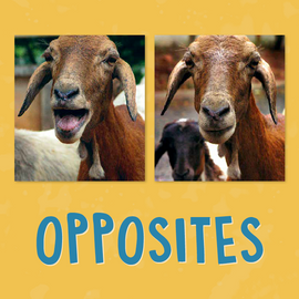 Opposites