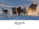 Things That Move in the Arctic