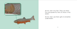 Uliaq's Amazing Animals: Arctic Char