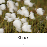 Weather Words