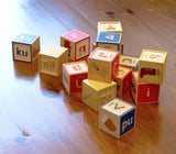 Syllabic and Roman Orthography Wooden Blocks