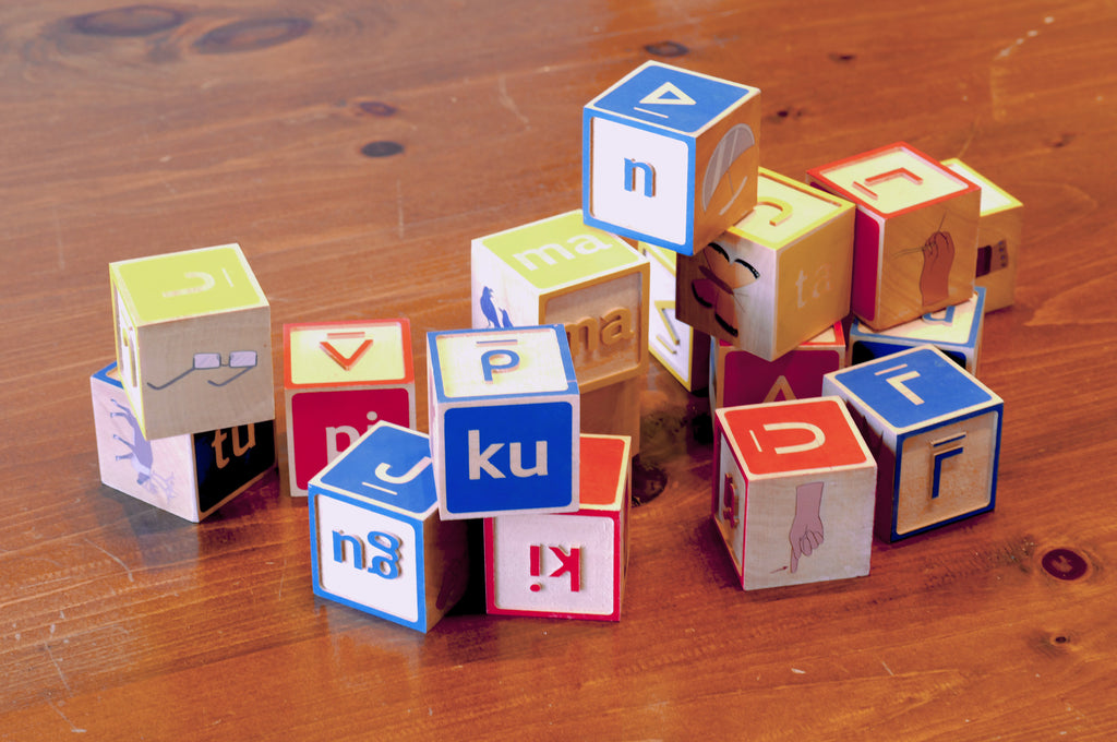 Syllabic and Roman Orthography Wooden Blocks