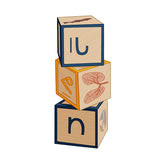 Syllabic and Roman Orthography Wooden Blocks