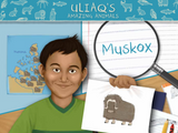 Uliaq's Amazing Animals: Muskox
