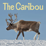 The Caribou
