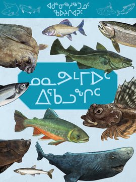 Junior Field Guide: Fishes of Nunavut