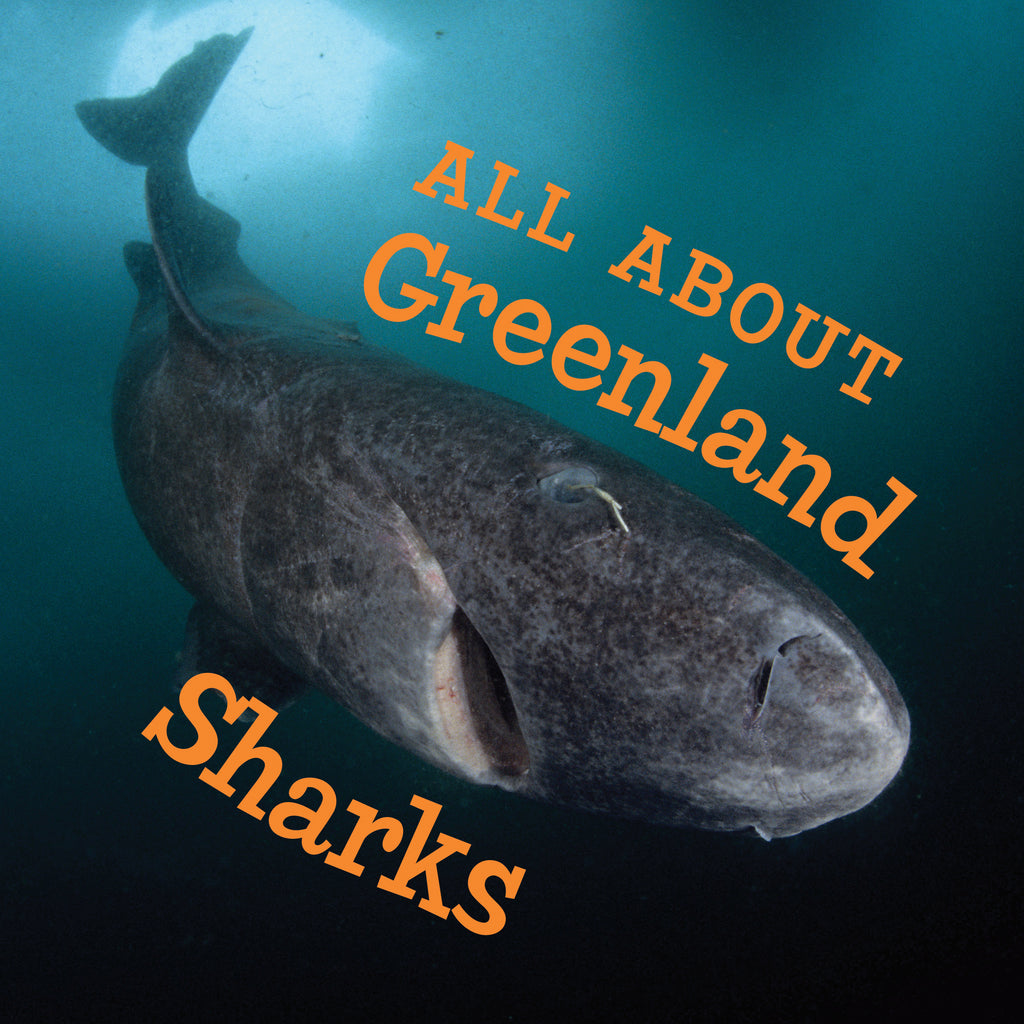 All about Greenland Sharks