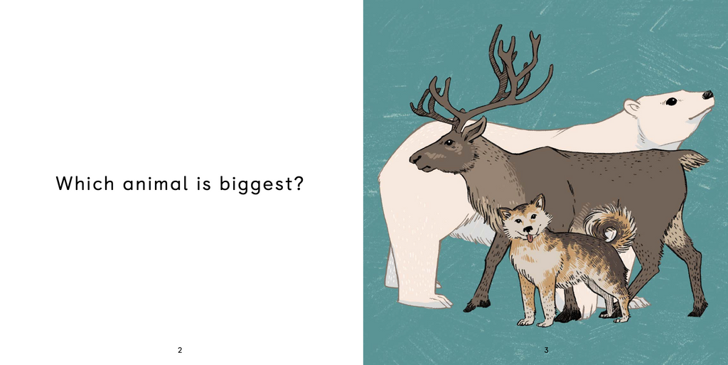 Big, Bigger, Biggest Arvaaq Press Inhabit Education Books