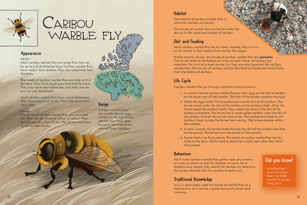 Junior Field Guide Insects of Nunavut Arvaaq Press Inhabit