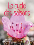 Seasonal Cycles