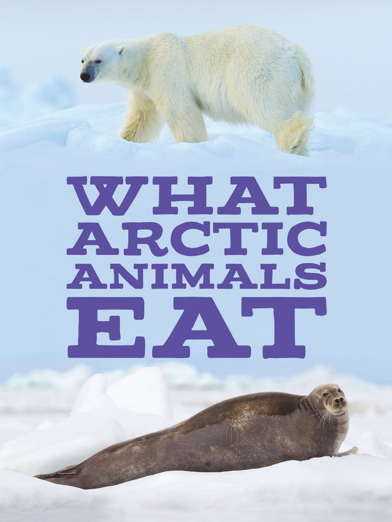 What Arctic Animals Eat