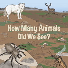 How Many Animals Did We See?