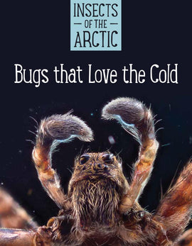 Insects of the Arctic: Bugs That Love the Cold