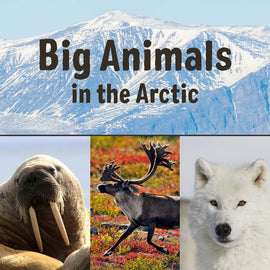 Big Animals in the Arctic