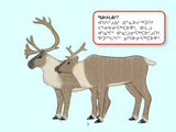 Uliaq's Amazing Animals: Caribou